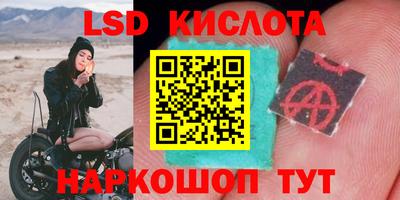 бошки Гусев