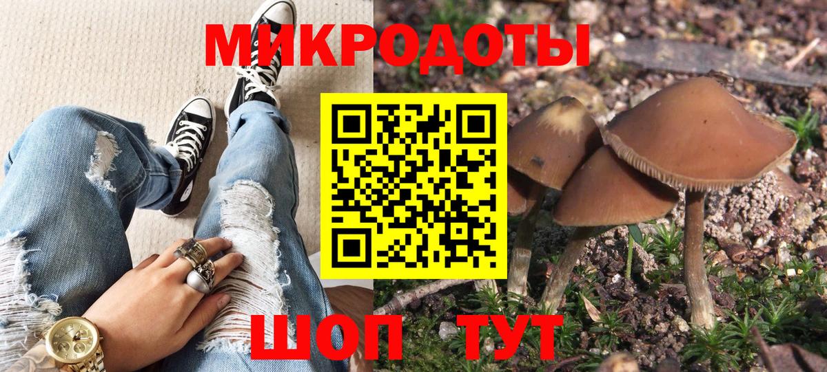 Галлюциногенные грибы мицелий Лесосибирск